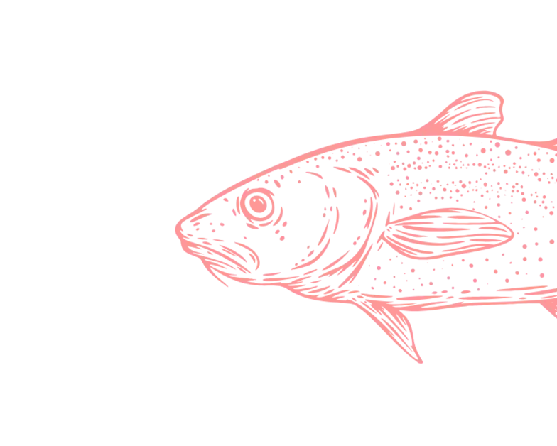 pescados vector